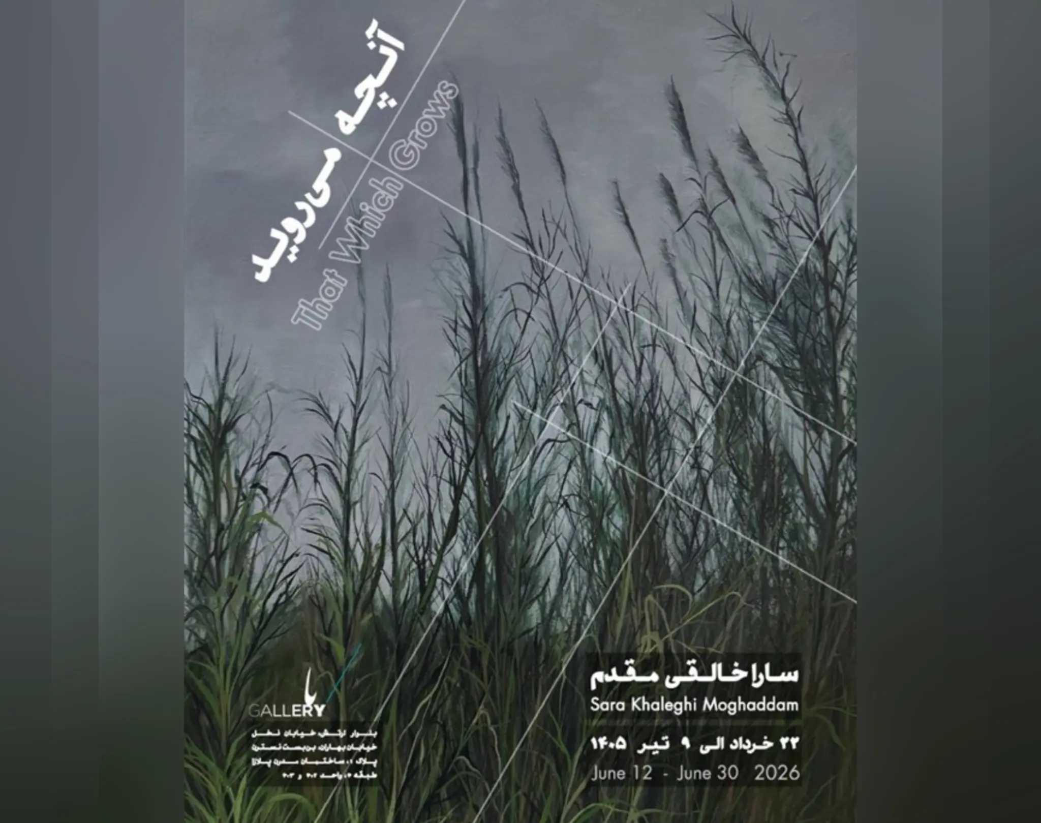 باید در هر شرایطی به فعالیت‌ هنری ادامه داد/ یکی از مشکلات نقاشان، فاصله میان ارزش معنوی و جایگاه اقتصادی هنر است