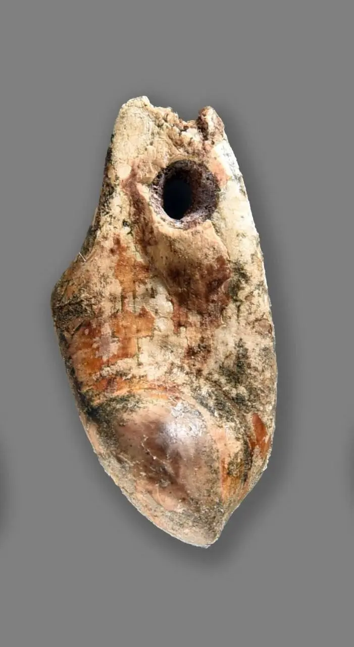 کهنترین صنایع دستی جهان از غار یافته خرم آباد بیرون آمد/ دندانی که ۳۹ هزار سال پیش به گردن انسان نخستین آویخته شد