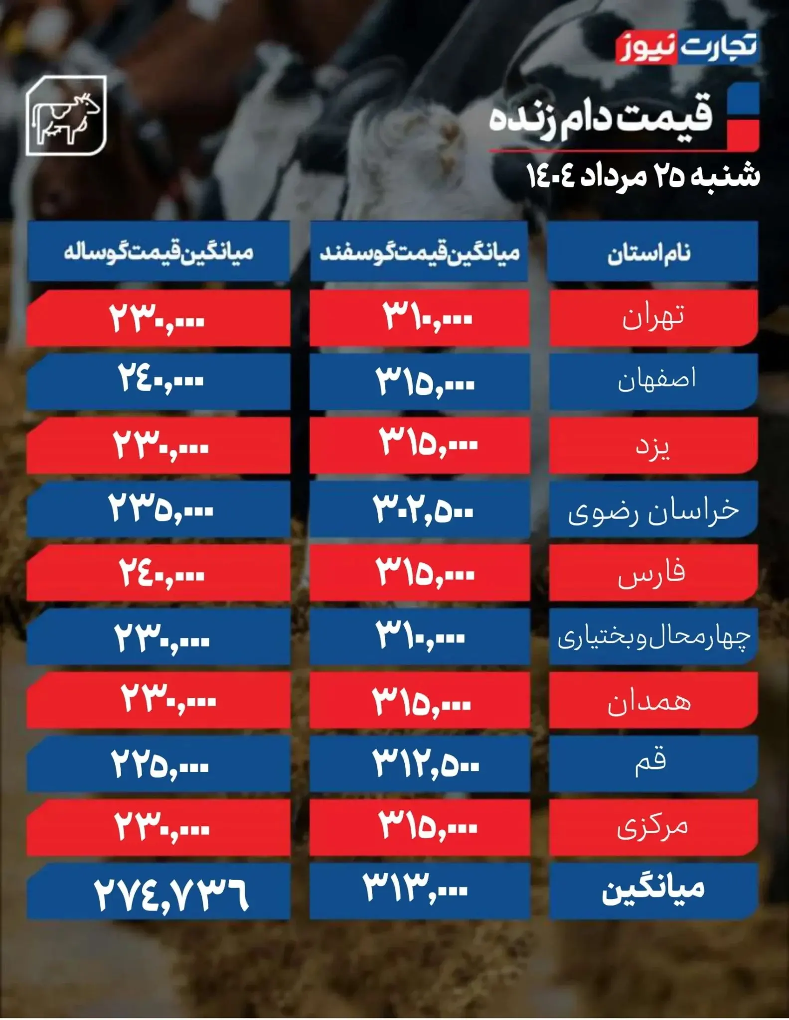 قیمت دام زنده امروز ۲۵ مرداد ۱۴۰۴ + جدول