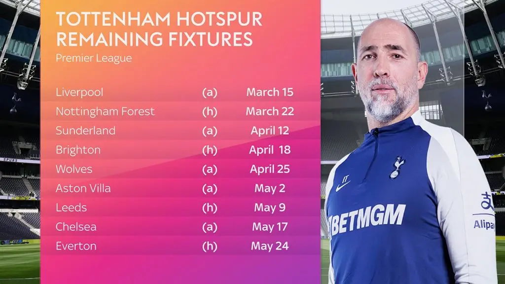 ایگور تودو در آستانه اخراج از تاتنهام