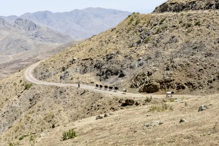 قاب زندگی/ کوچ عشایر قاراداغ؛ سفر جاودانه انسان و طبیعت