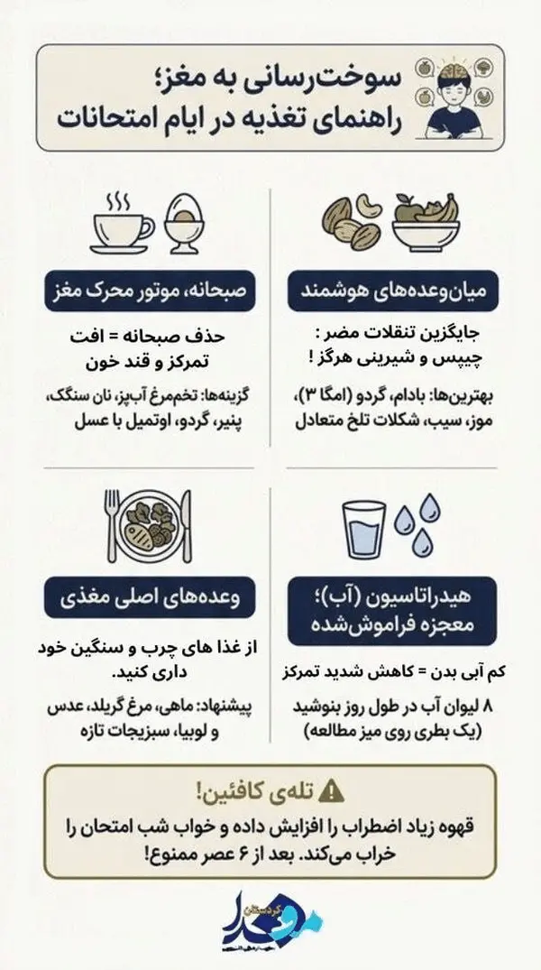 4 نکته طلایی برای ایام امتحانات/ از این غذاها غافل نشوید