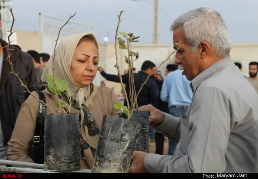 گزارش تصویری از اهدا ۳۰ هزار اصله نهال در اهواز