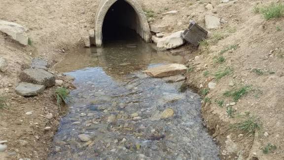 خشکسالی و بحران آب؛ قنات‌های چهارمحال و بختیاری در مسیر خشکیدن/سال گذشته بیش از ۲۰۰ قنات استان به طور کامل خشک شد