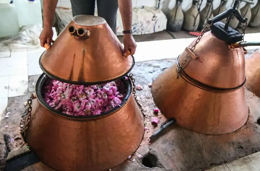 کاشان دارای بیش از ۱۶ آیین ثبت ملی در ایام محرم و صفر است/رشد ۱۵ درصدی گردشگری شهرستان در فصل گلابگیری
