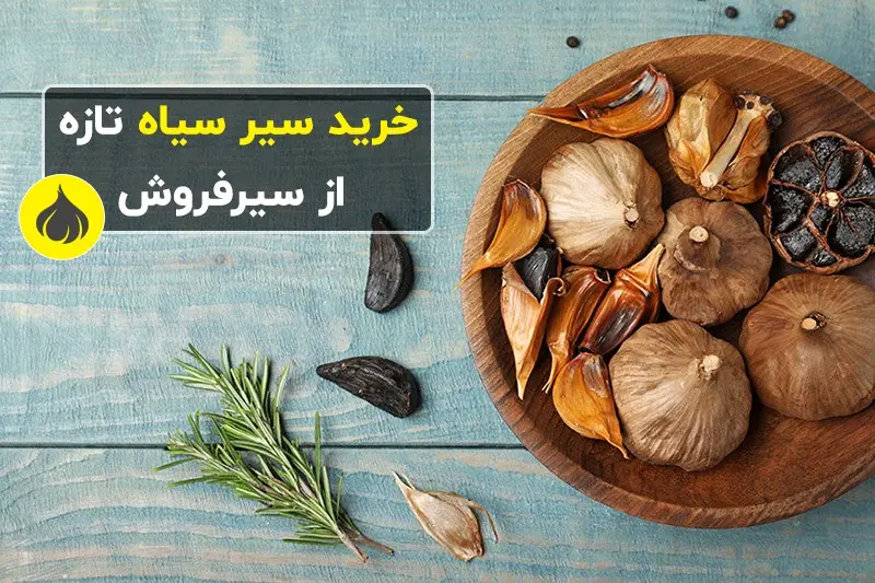 راهنمای خرید سیر سیاه و پرداخت درب منزل