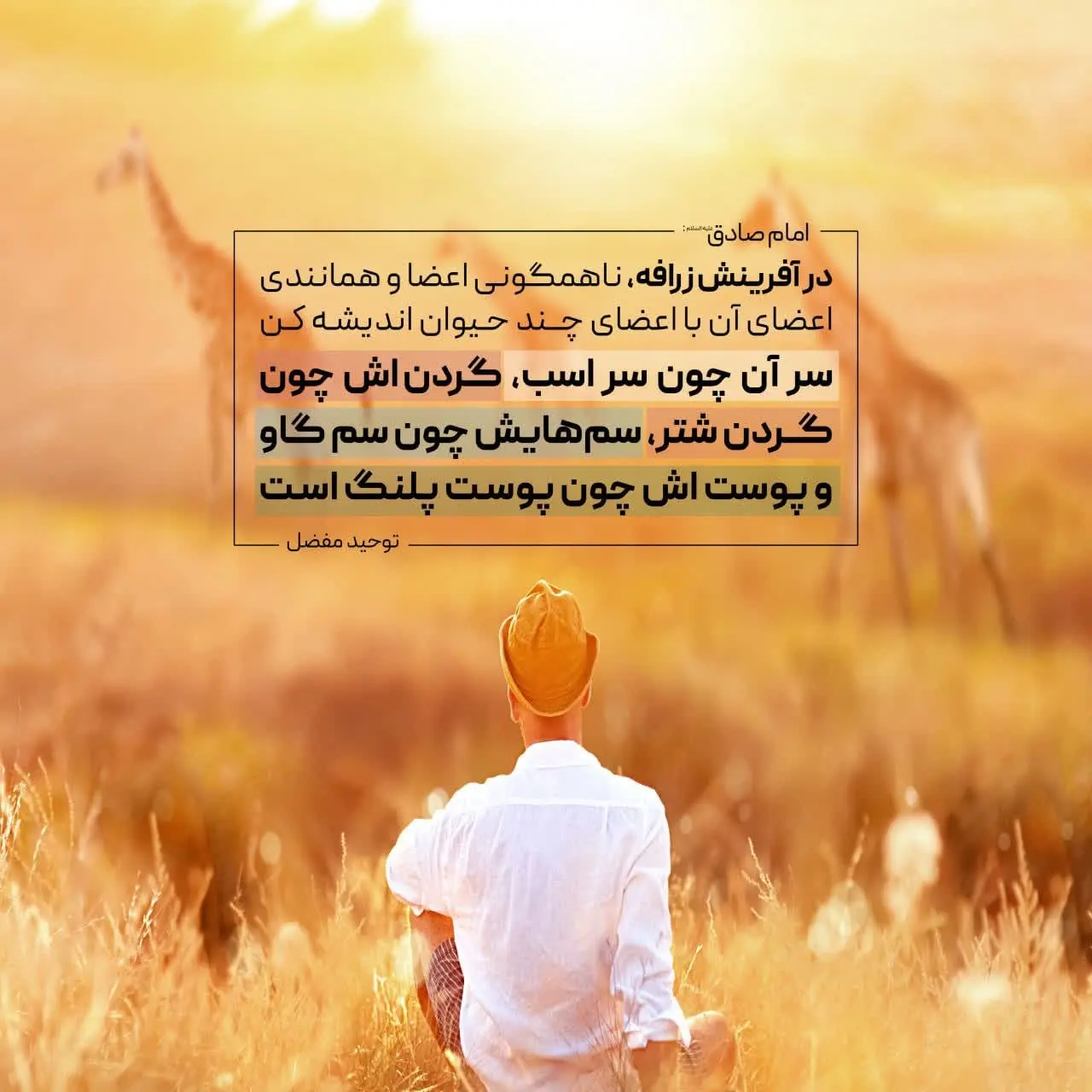 حدیث روز پنجشنبه ۱۳ آذر