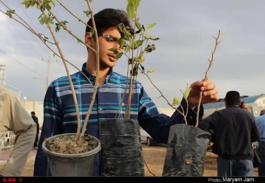 گزارش تصویری از اهدا ۳۰ هزار اصله نهال در اهواز