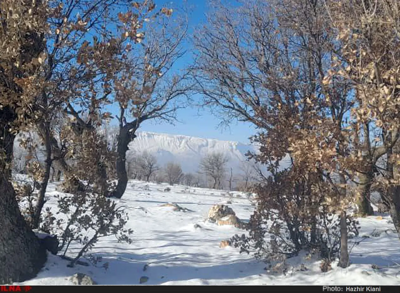 گزارش تصویری از بارش برف در شمال خوزستان 