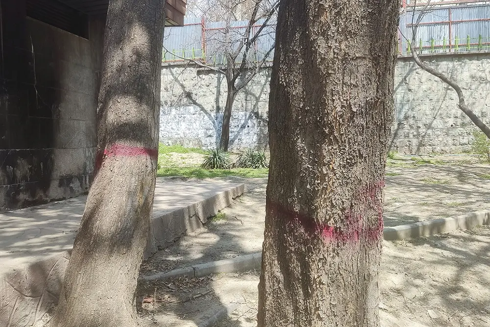 بررسی ابهامات و حواشی ساخت مسجد در پارک قیطریه + عکس و فیلم 