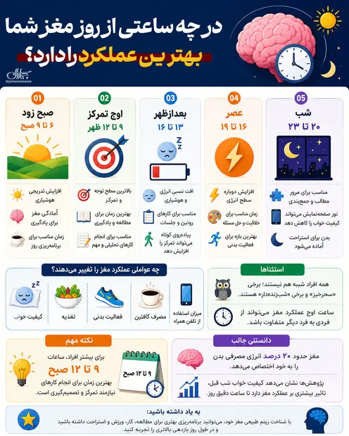 مغز شما در چه ساعتی از روز بهترین عملکرد را دارد؟ + اینفوگرافیک