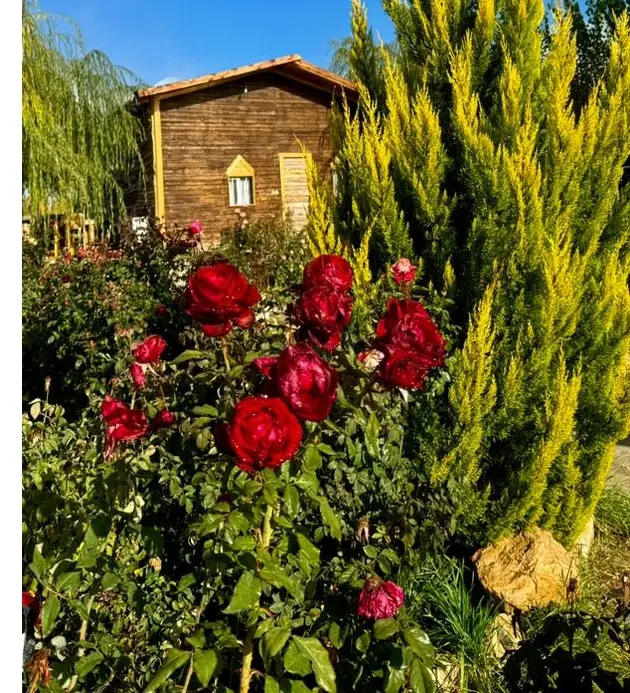 بوم‌گردی‌ها؛ کلید اشتغال سبز فارس/ قانونِ دارای ضمانت اجرایی، حق طبیعی بوم‌گردی ها است