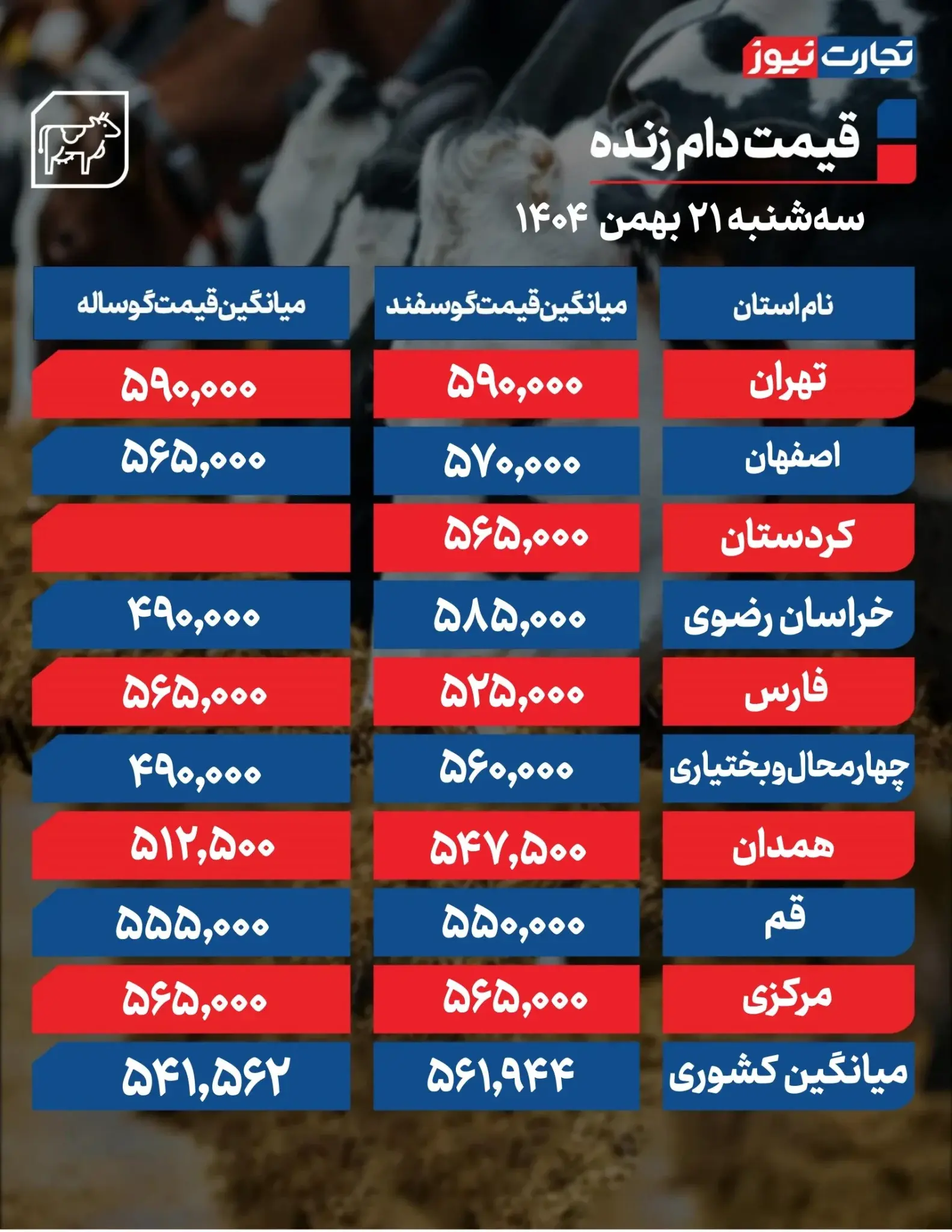 قیمت دام زنده امروز ۲۱ بهمن ۱۴۰۴ + جدول