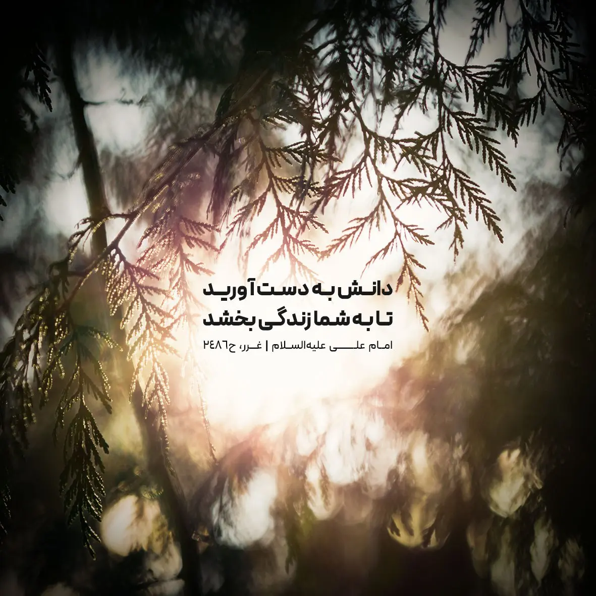 حدیث روز شنبه ۲۵ بهمن