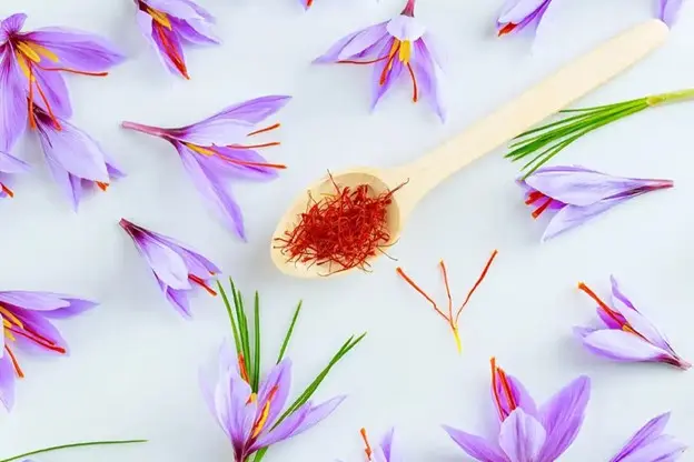 5 Important Tips to Consider When Buying Saffron