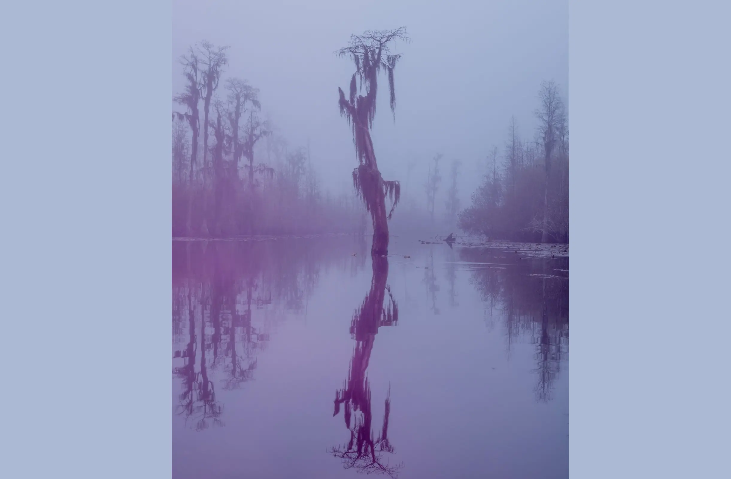 ثبت انرژی «اسرارآمیز» یک باتلاق جادویی/ عکس‌هایی که ژانر وحشت را تداعی می‌کنند