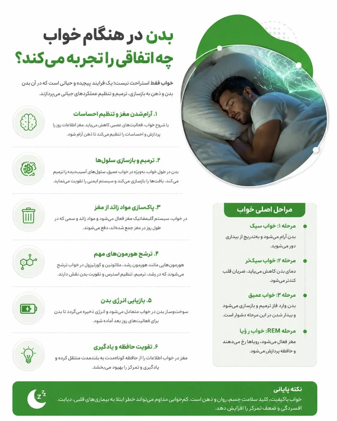 بدن در هنگام خواب چه اتفاقی را تجربه می‌کند؟ + اینفوگرافیک
