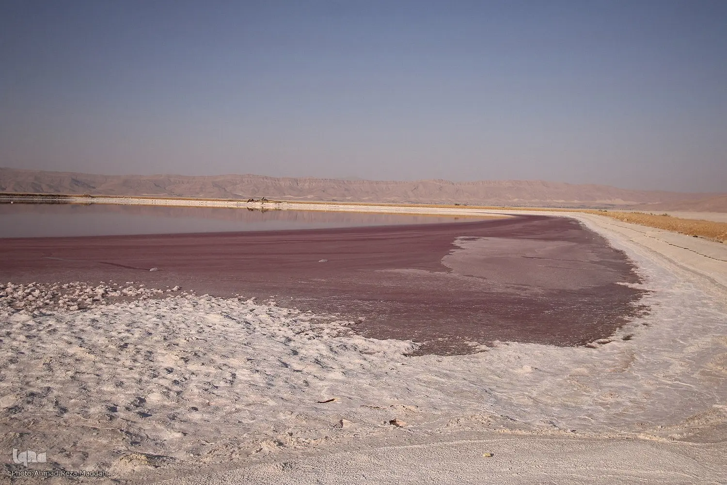سراب احیا در تالاب‌های فارس/ آبگیری‌های سطحی به معنای نجات نیست/ تالاب‌ها قربانی نگاه زراعت‌محور شده‌اند