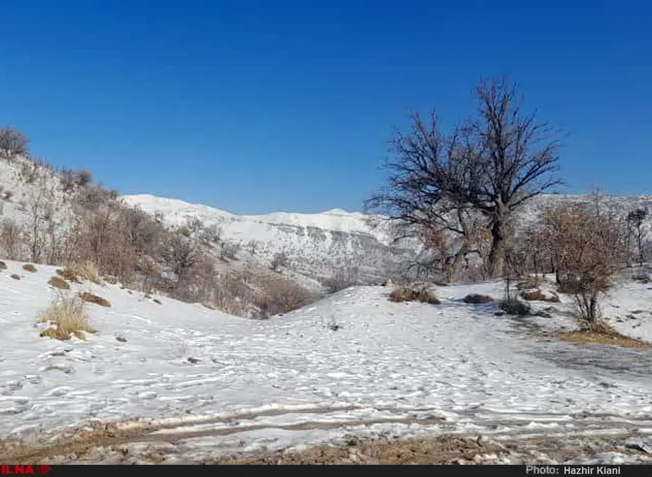 گزارش تصویری از بارش برف در شمال خوزستان 