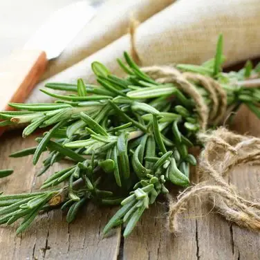 10 گیاهی که پشه ها را از محیط زندگی شما فراری می دهند