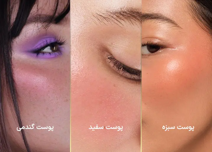 رژگونه کرمی بهتر است یا پودری؟ + 7 تفاوت