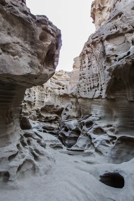 آریزونا در ایران/تصاویر