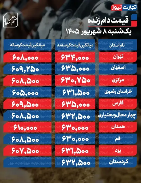 قیمت دام زنده امروز ۸ شهریور ۱۴۰۵ + جدول