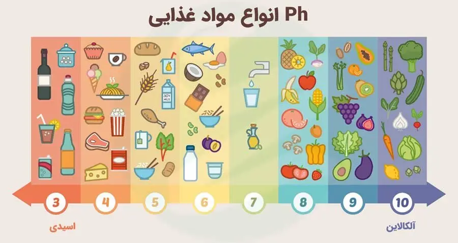 آیا لبنیات به دلیل خاصیت اسیدی، استخوان‌ها را پوک می‌کند؟/ شیر سویا و بادام چطور؟