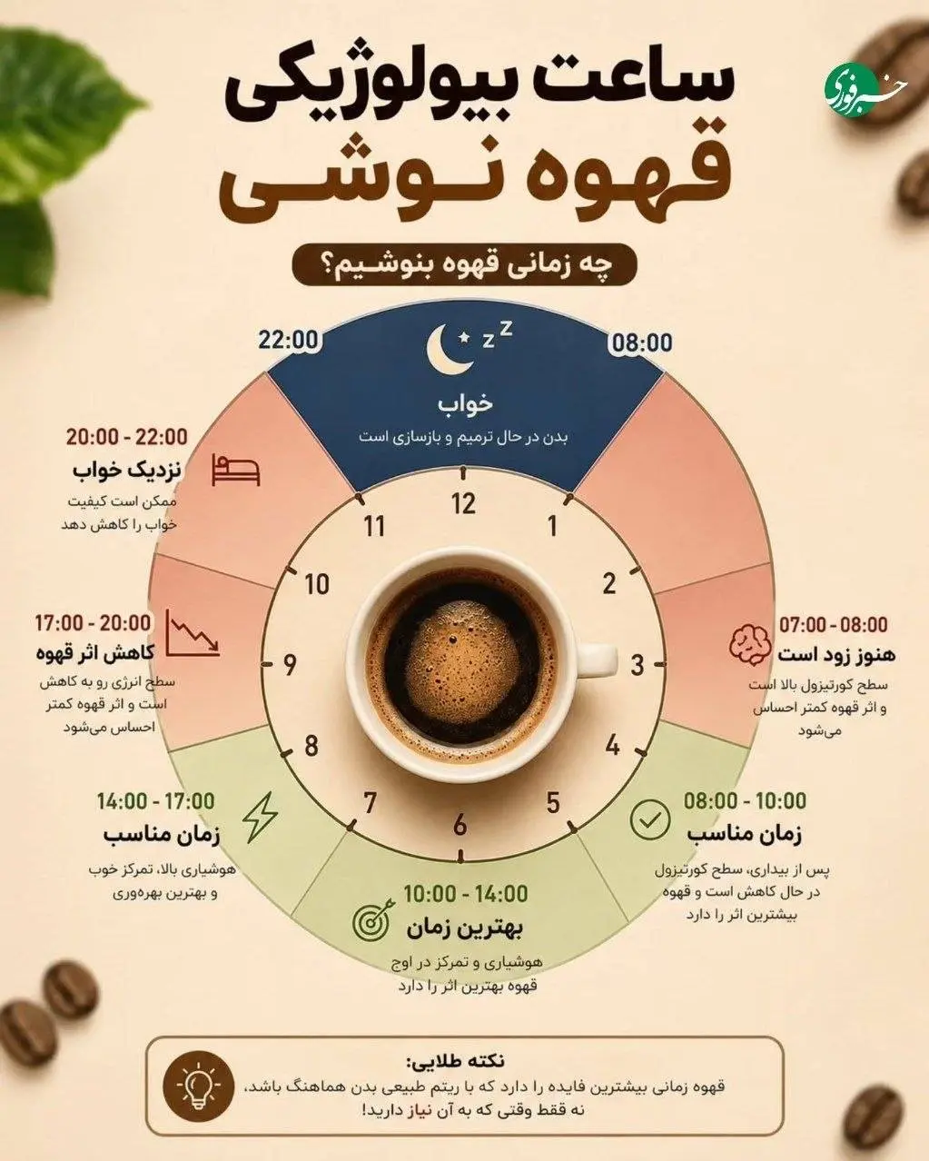 ساعت بیولوژیکی برای نوشیدن قهوه + اینفوگرافی
