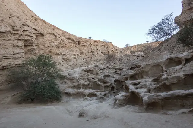 آریزونا در ایران/تصاویر
