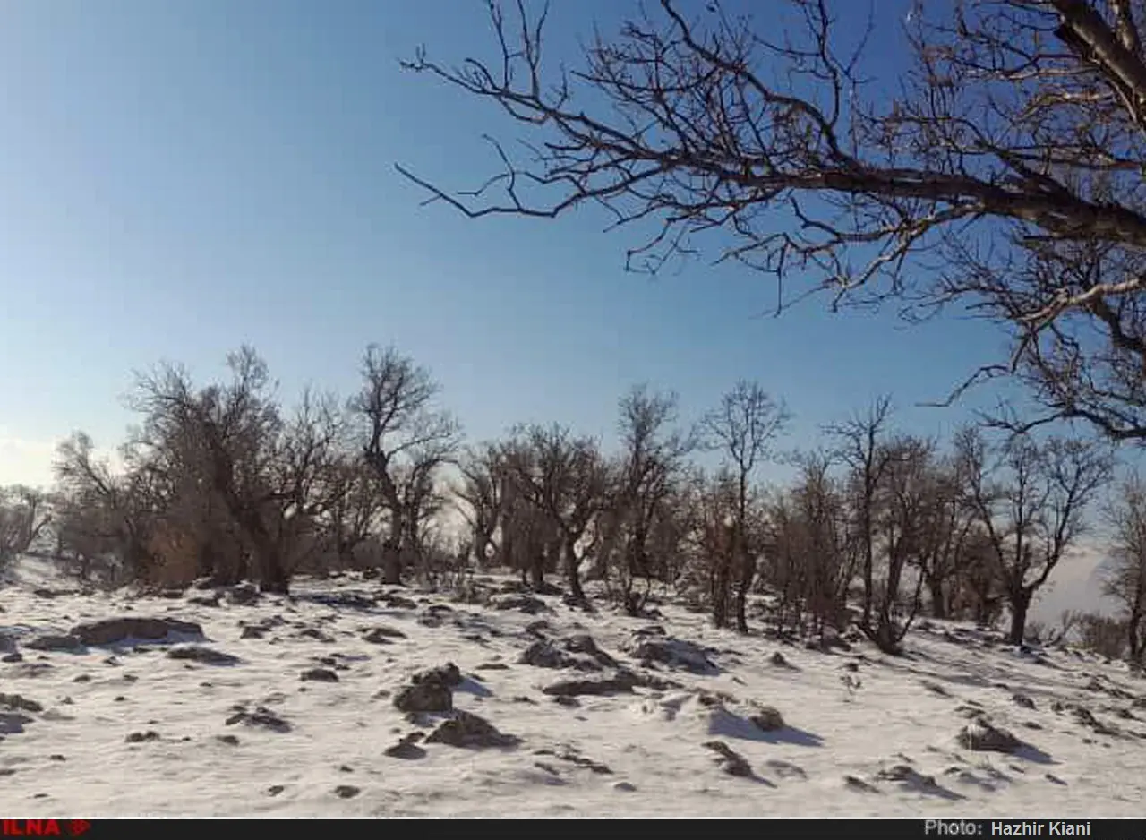 گزارش تصویری از بارش برف در شمال خوزستان 