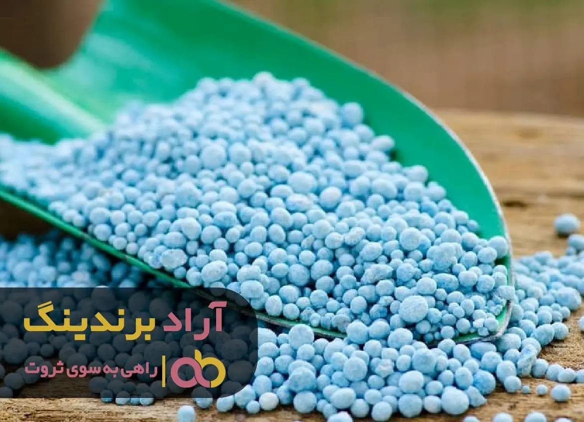 
اینگونه ثروتمند شدم و به آرامش رسیدم