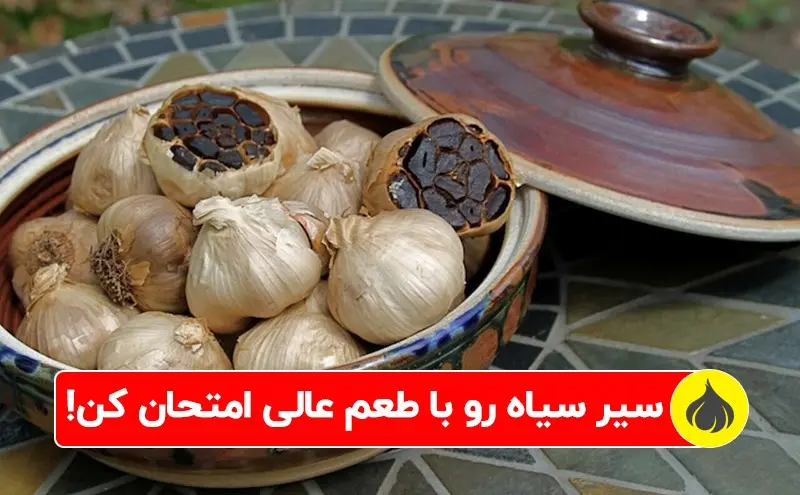 راهنمای خرید سیر سیاه و پرداخت درب منزل