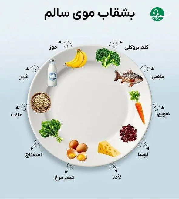 با بشقاب موی سالم، موهات رو از درون تقویت کن + اینفوگرافیک