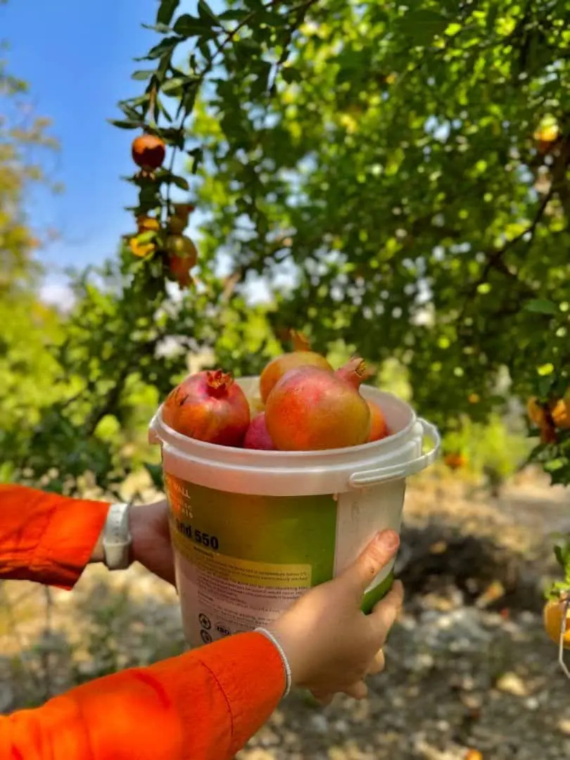 گشت عکاسی طبیعت روستای شیوَند برگزار شد