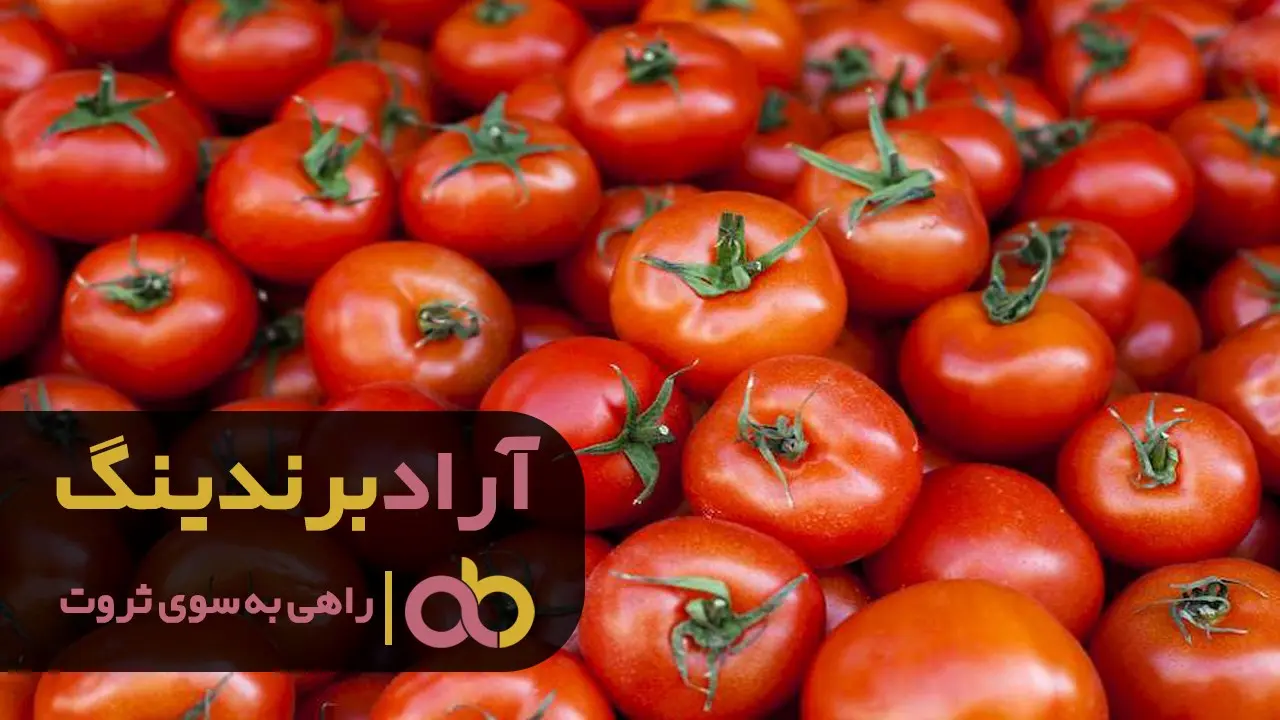 قیمت گوجه فرنگی به چه عواملی وابسته می باشد؟