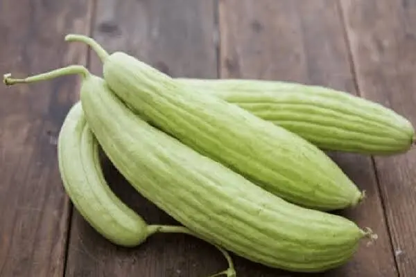 خورش خیار چنبر با گوشت قلقلی؛ طعمی که غافلگیرتان می کند