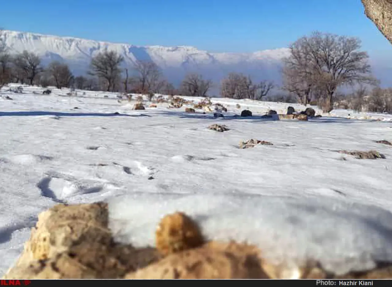 گزارش تصویری از بارش برف در شمال خوزستان 