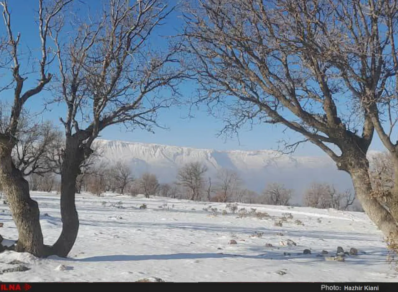 گزارش تصویری از بارش برف در شمال خوزستان 