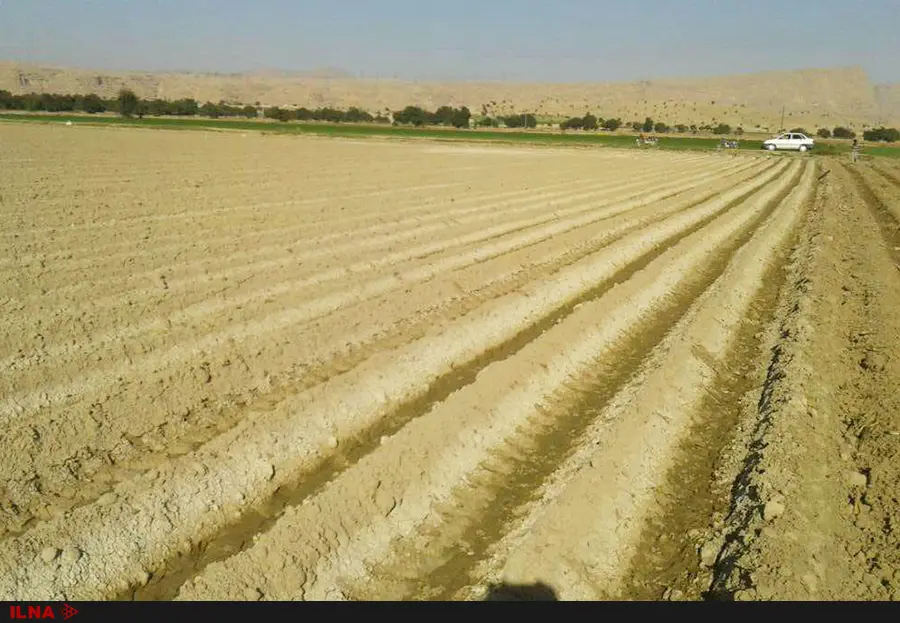 تبدیل زمینهای کشاورزی خوزستان به برهوت نمک تا 10 سال آینده/4میلیون هکتار زمین درمعرض نابودی/کارشناسان احداث سد گتوند را نقطه ننگین زیستمحیطی میدانند