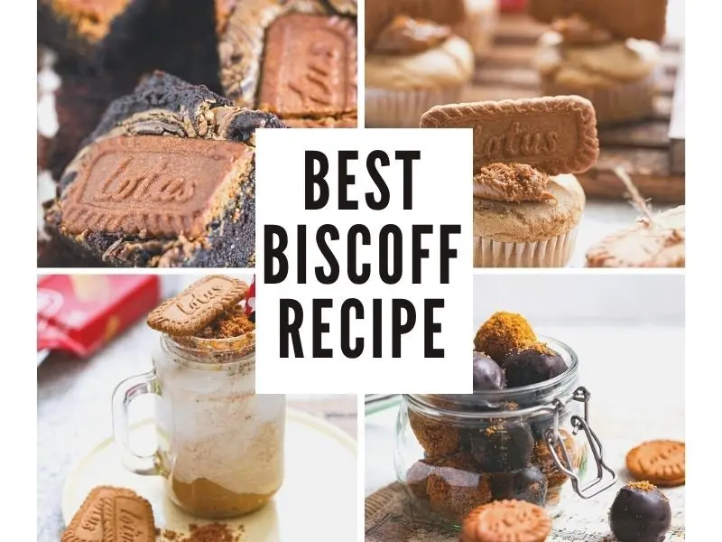  Lotus Cookies  Biscoff Speculoos With Chocolate 7