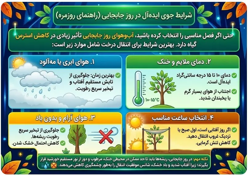 بهترین آب و هوا برای جابجایی درخت{بهترین فصل انتقال درخت}

