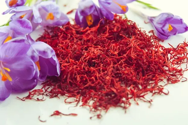 Get Premium Iranian Saffron at the Best Price from Tida Saffron