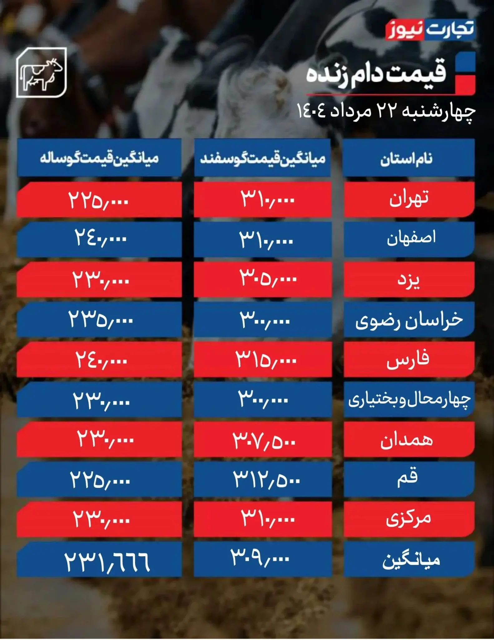 قیمت دام زنده امروز ۲۲ مرداد ۱۴۰۴ + جدول