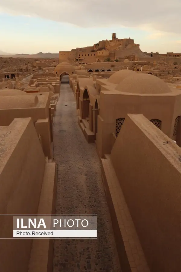 نمایش اجساد نوزادان در نخستین موزه تاریخ و باستانشناسی شرق کشور/ اعتبار نداریم، انبار مصالح خالی است و کارگاههای مرمتی ارگ بم در شرف تعطیلی
