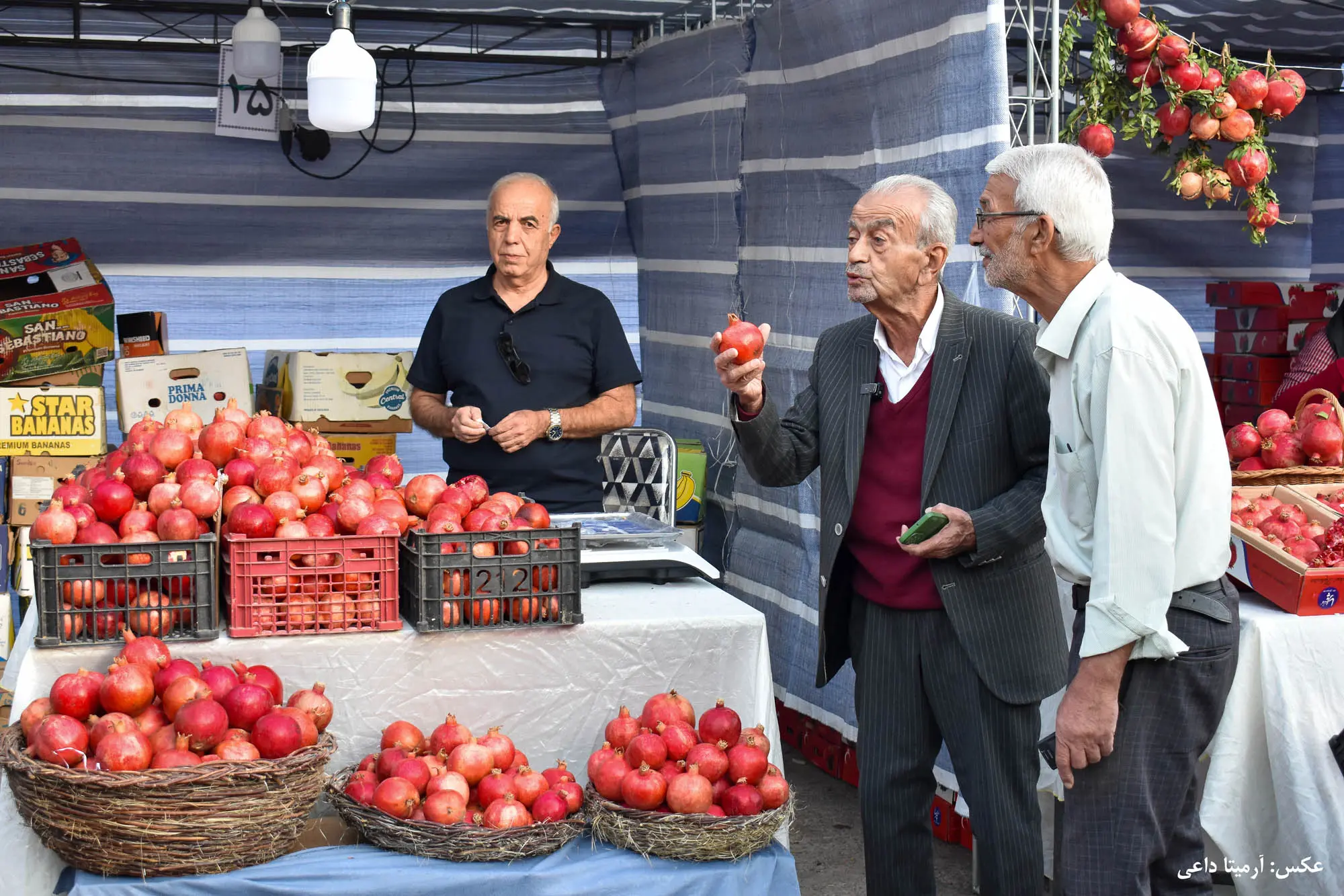 باغ‌های قصرالدشت میراث سبز و جاذبه گردشگری مهم شیراز هستند