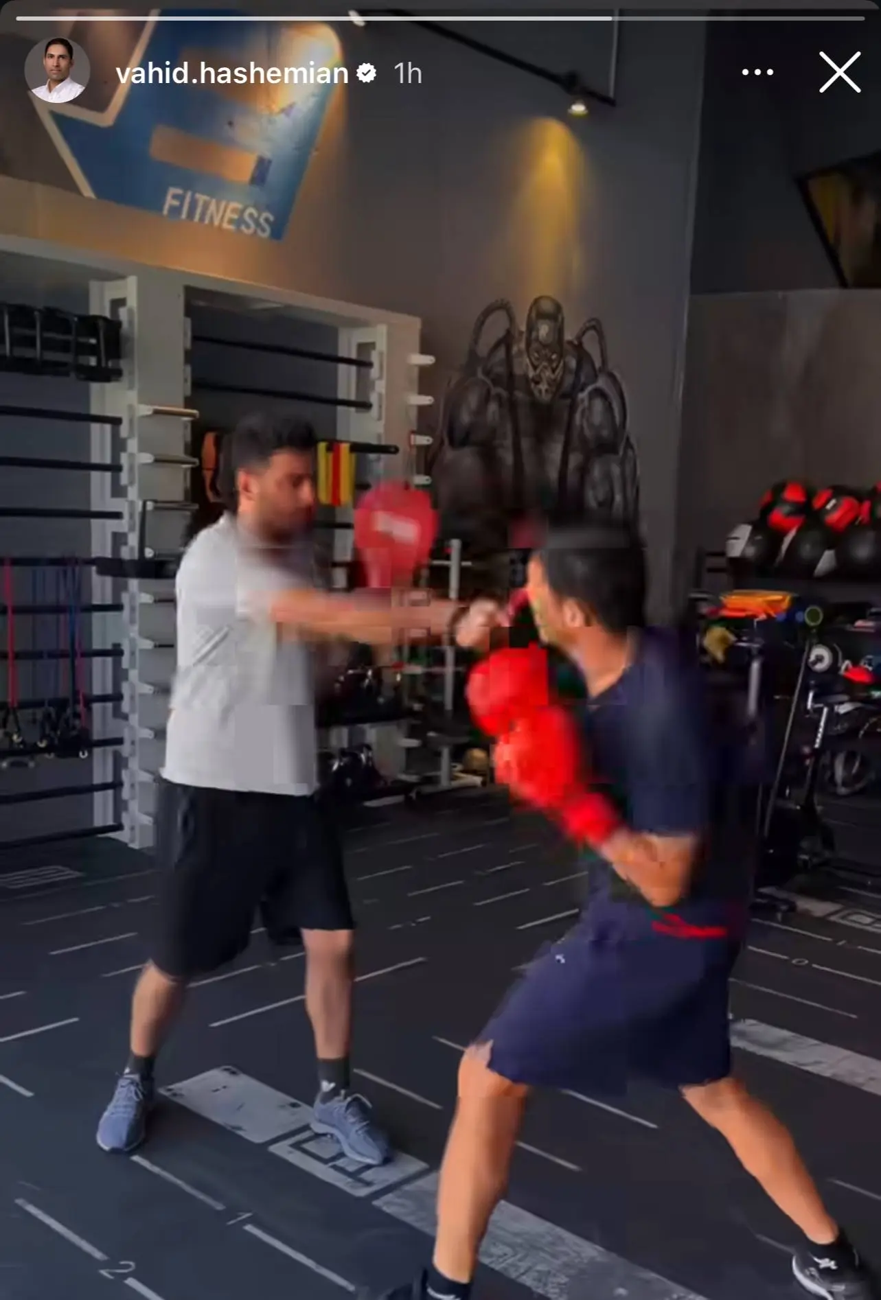 باورنکردنی: وحید هاشمیان در رینگ بوکس! 