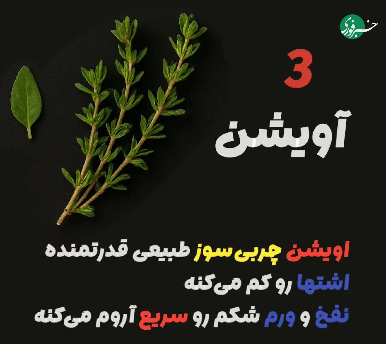 ۵ گیاه که بیشترین تاثیری را در لاغری دارند 