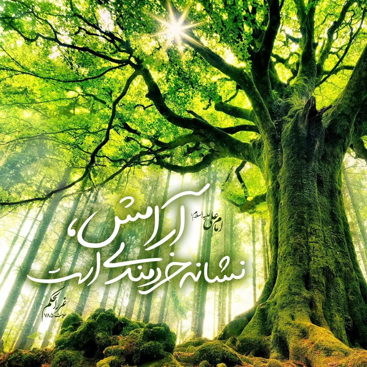 حدیث روز یکشنبه ۱۸ آبان