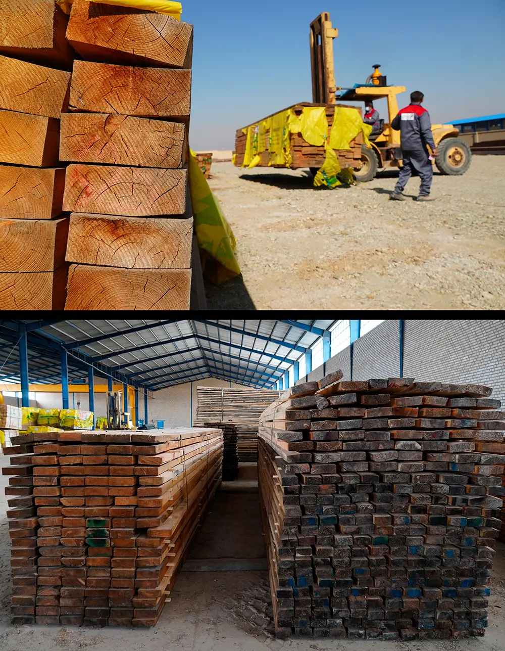 تدارک چشمگیر پیوان برای حضور در نمایشگاه چوب تبریز